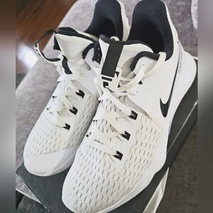 Nike Lebron Witness V